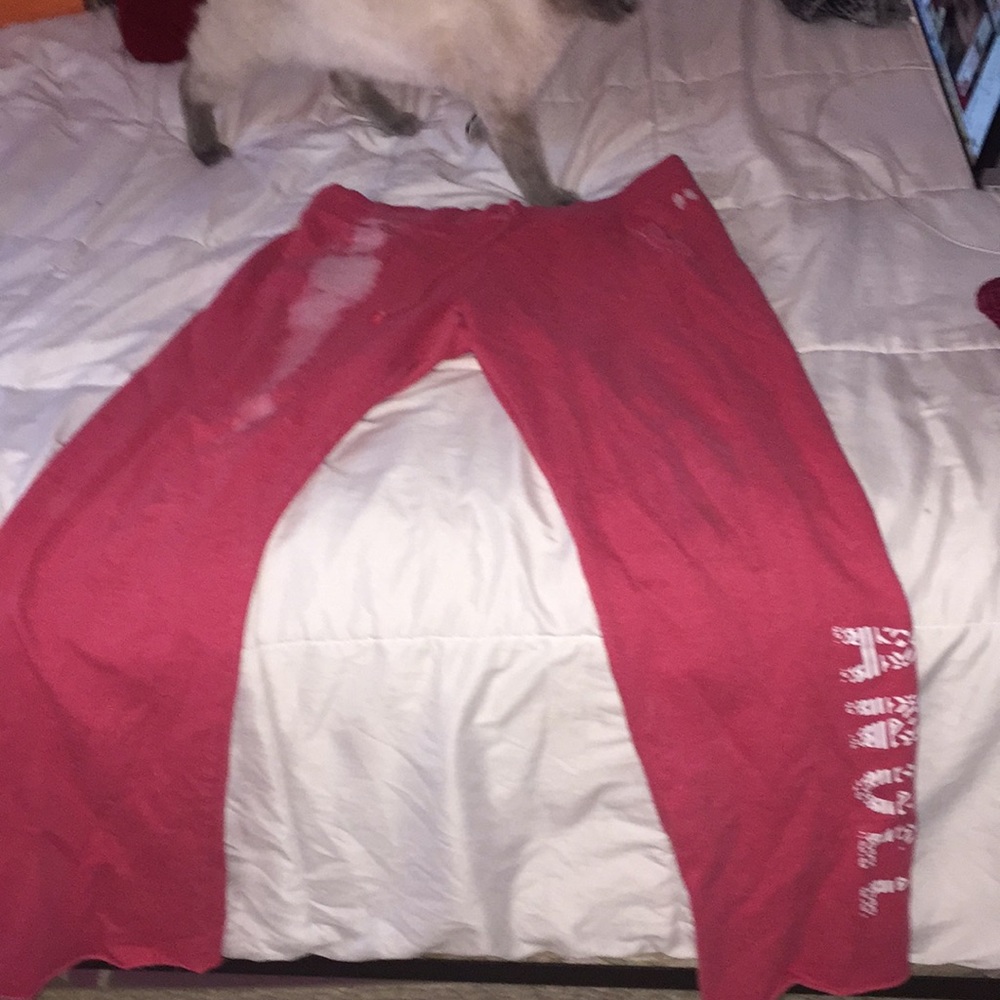 VS sweatpants